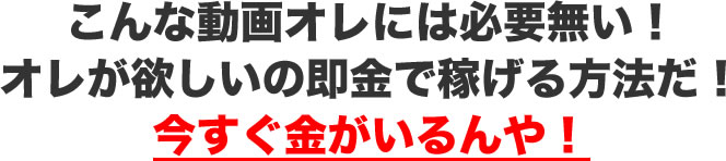 ネットビジネス動画大辞典 評判